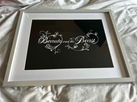 Photo of free 1 beauty and the beast print (Jennetts park RG12) #1