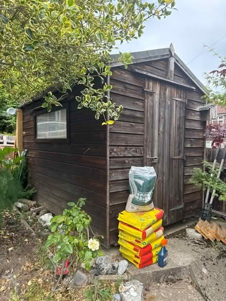 Photo of free Shed 6ft x 10ft (Thorpe St Andrew NR7) #1