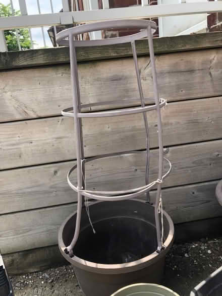 Photo of free Plant pots galore (North York) #3