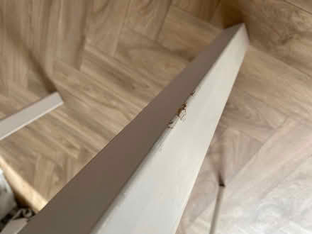 Photo of free Dining table (Bath combe down/odd down) #2