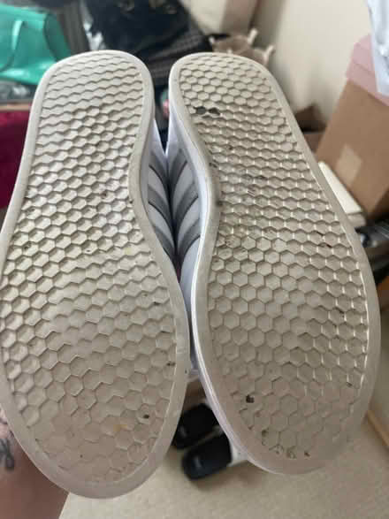 Photo of free Ladies adidas trainers size 7 (Kenilworth CV8) #1