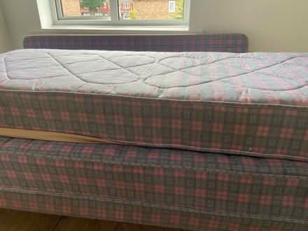 Photo of free Trundel bed (Warrington) #2