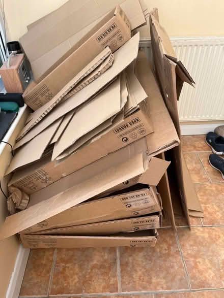 Photo of free Cardboard (Kingsway) #1