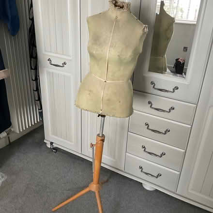 Photo of free Sewing mannequin (Torrisholme) #2