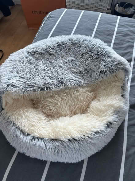 Photo of free Unused cat bed (Wallington SM6) #2