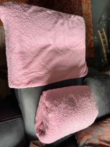 Photo of free Pink Teddy Bear Fleece single bed duvet and pillow case (Spondon DE21) #3
