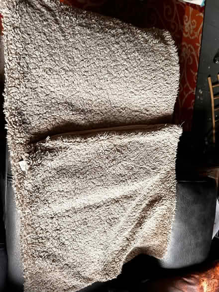 Photo of free 2 x genuine teddy bear beige cushion covers (Spondon DE21) #1
