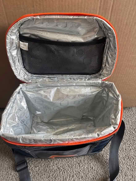 Photo of free Bears Cooler (Countryside) #2