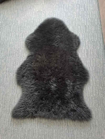 Photo of free Black Sheepskin Rug (Harefield SO19) #1