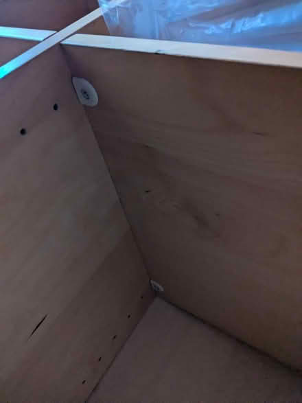 Photo of free Storage unit (Ham TW10) #3
