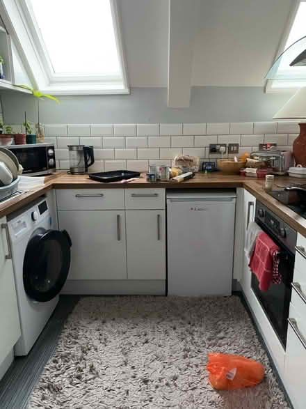 Photo of free Shaggy Rug 120 x 170cm (Meads, BN20) #2