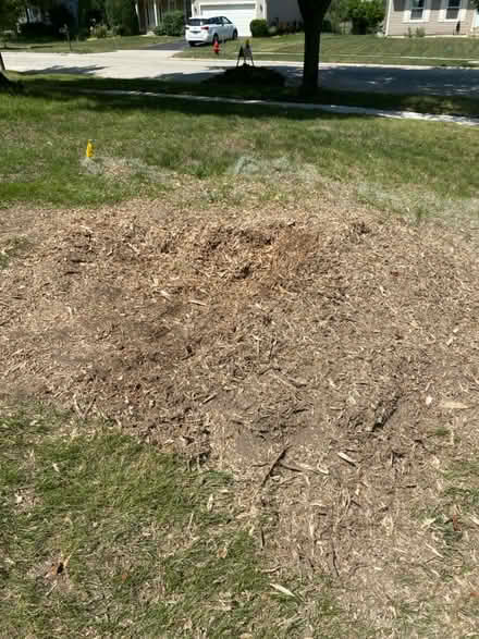 Photo of free Yard mulch (Schaumburg) #1