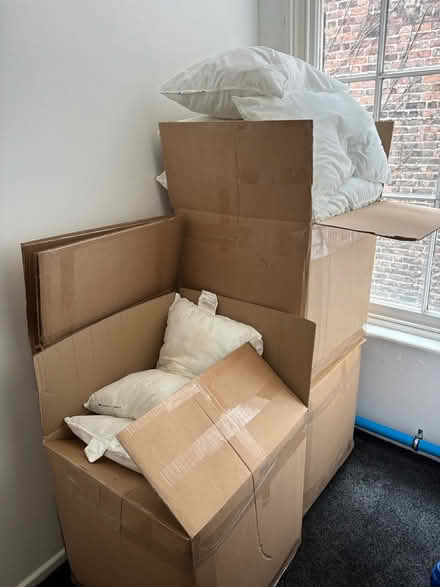 Photo of free pillows smoke free pets (L7) #3