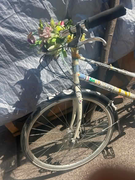 Photo of free Genesis bike- used but good (S6 Hillsborough) #2