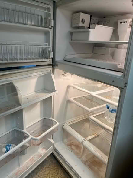 Photo of free Refrigerator (Leisure World 20906) #2