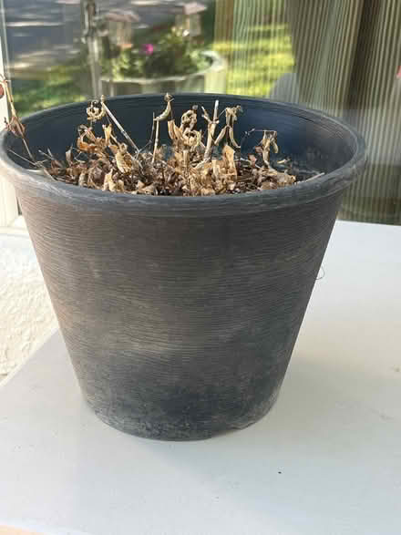 Photo of free plastic planter container (NE Heights-Indian School/Penn) #1