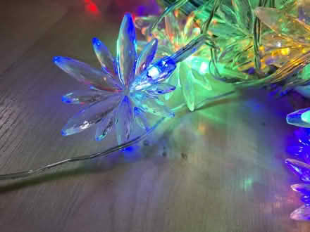 Photo of free Christmas fairy lights (Westquarter, Falkirk FK2) #2