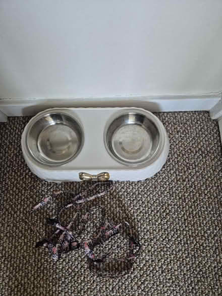 Photo of free Cat/small dog accessories (Drayton PO6) #1