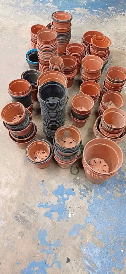 Photo of free Plant pots & trays (Chaddesden DE21) #1