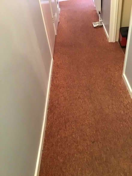 Photo of free Carpets (IP4) #1