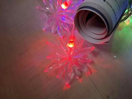 Photo of free Christmas fairy lights (Westquarter, Falkirk FK2) #3