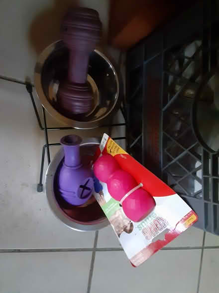 Photo of free Dog bowls, toys (Jamaica Plain) #2