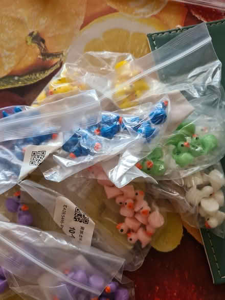 Photo of free Tiny plastic ducks (BS5) #1