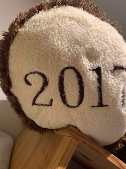 Photo of free Two Big Teddy Bears - Or Just One (CT9) #3