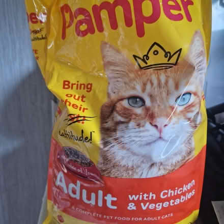 Photo of free Cat biscuits (Ashton PR2) #1