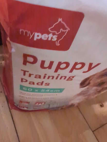 Photo of free Puppy pads (MK42) #1