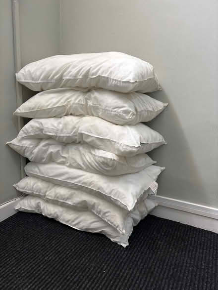 Photo of free pillows smoke free pets (L7) #1
