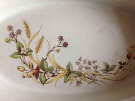 Photo of free M&S Harvest crockery (Oakridge RG21) #3