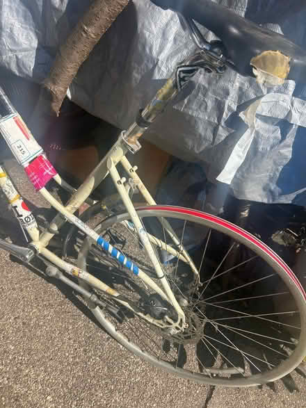 Photo of free Genesis bike- used but good (S6 Hillsborough) #3