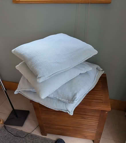 Photo of free Cushions (Bishop's Castle SY9) #1