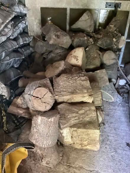 Photo of free Large Logs (Broadclyst) #1