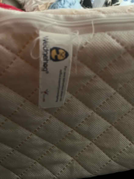 Photo of free Bed wedge pillow (Tyseley B11) #3