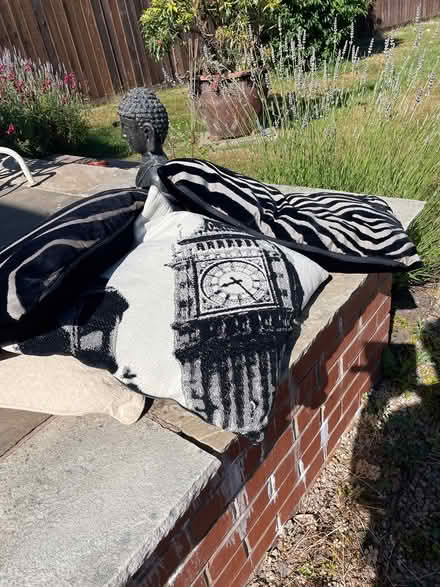 Photo of free 4 cushions (Markfield Leicestershire) #1