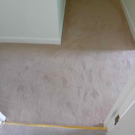Photo of free Cream carpet and underlay. (Clitheroe BB7) #1