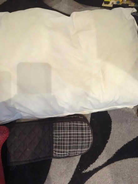 Photo of free 2 pillow/oven gloves (Leyton E10) #1