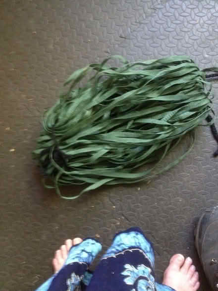 Photo of free strong green plastic tape (Quinton B32) #1