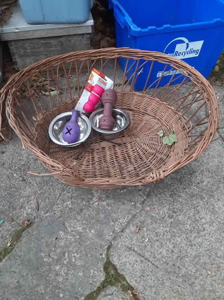Photo of free Dog bowls, toys (Jamaica Plain) #1