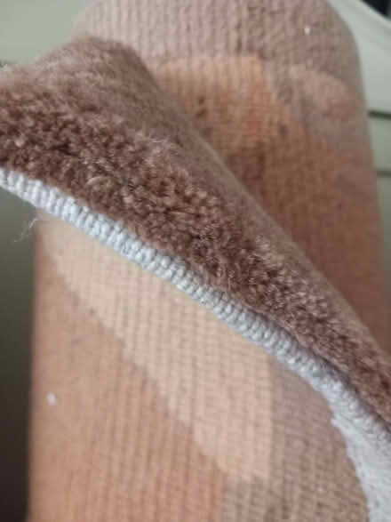 Photo of free Large woollen rug (Queen's Park BN2) #2