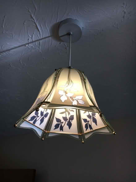 Photo of free Pendant Lampshade (Leckhampton GL53) #1