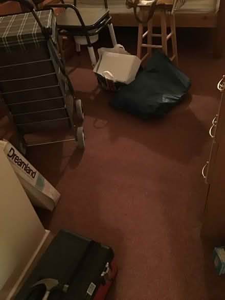Photo of free Carpets (IP4) #2