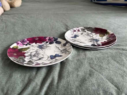 Photo of free 3 small plates (Bognor Regis PO21) #2
