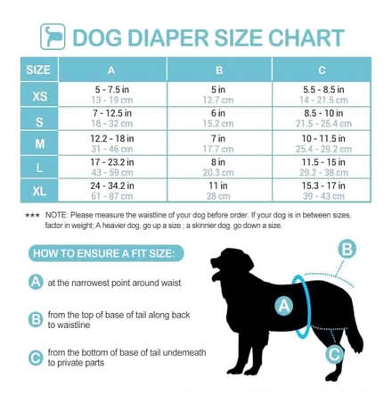 Photo of free Pack of 3 dog nappies size medium (Grindleton BB7) #4