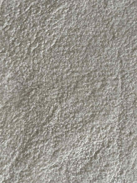 Photo of free Luxury thick carpet (Purley CR8) #4