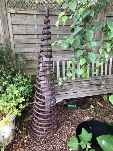 Photo of free Plant climber (Harborne B17) #1