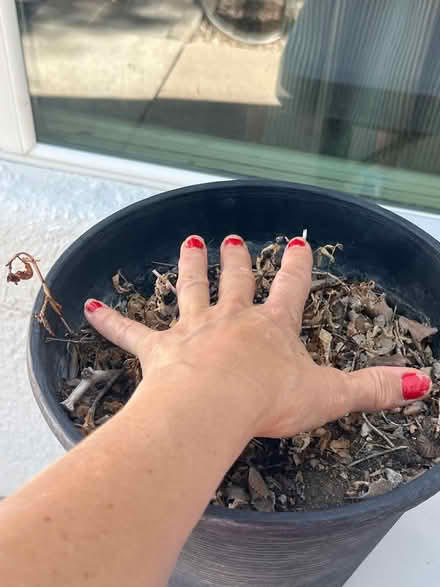 Photo of free plastic planter container (NE Heights-Indian School/Penn) #2
