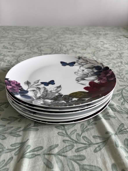 Photo of free 6 Sainsbury’s Dinner Plates (Bognor Regis PO21) #2